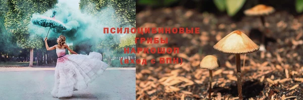 стаф Алексин