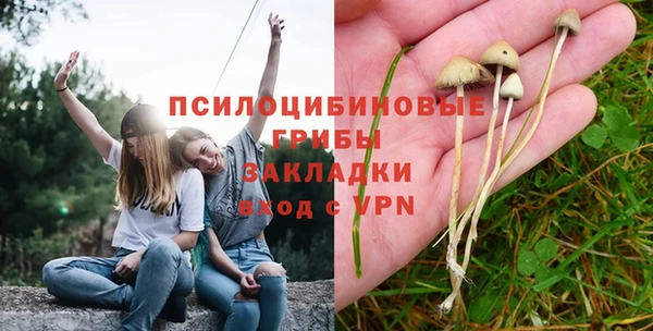 амф Абдулино