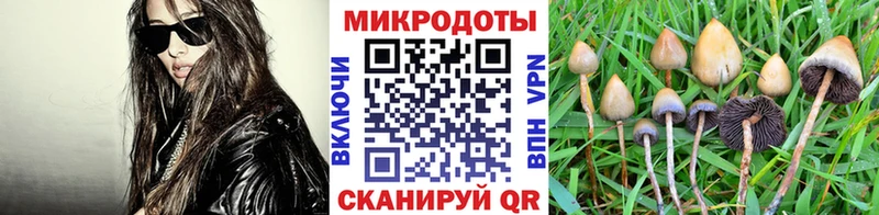 Галлюциногенные грибы Cubensis  купить   Берёзовка 